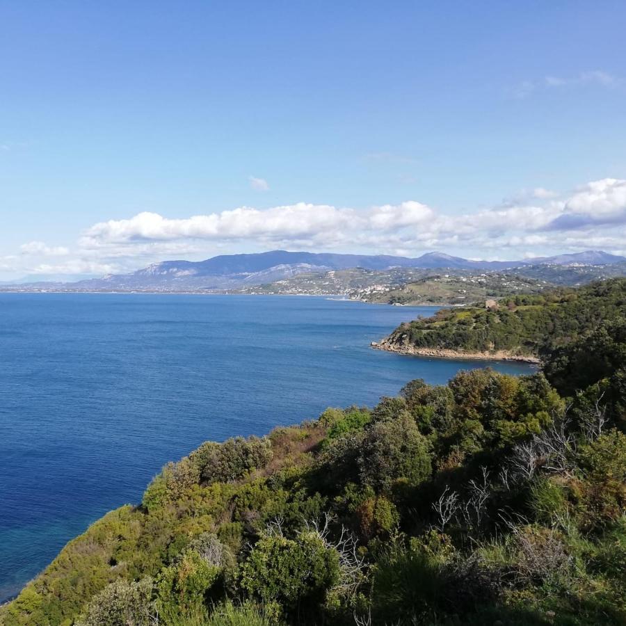 Panoramic Apartments In Villa In Center "The Beach And The Cliff" 1 Agropoli Zewnętrze zdjęcie